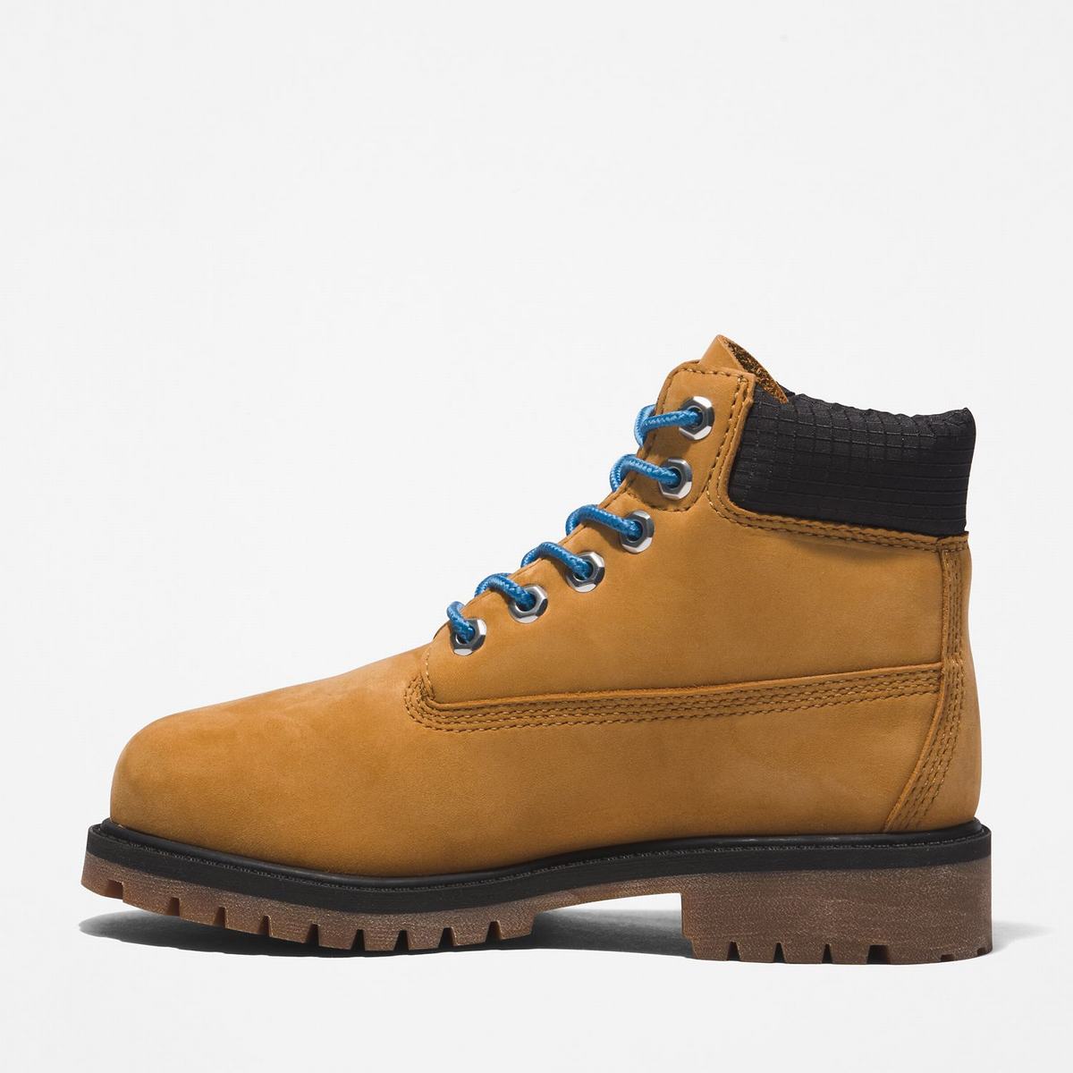 Timberland 6-Inch Boots~Vandtætte Vandtætte Støvler Børn Brune Blå | HXGY13849