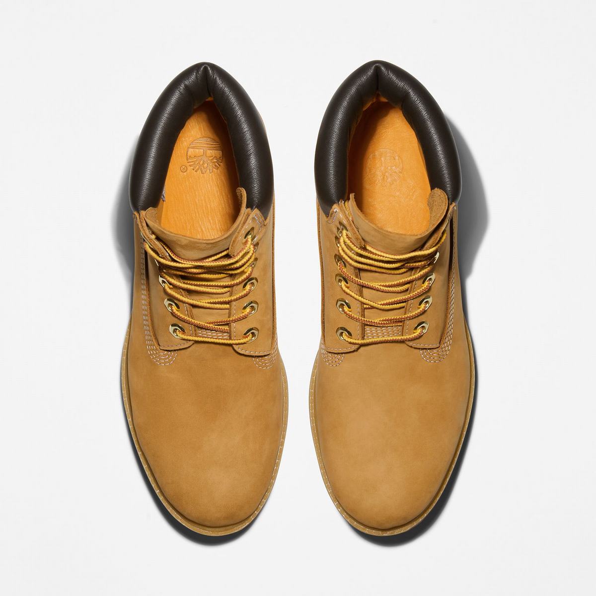 Timberland 6-Inch Boots~Vandtætte Vandtætte Støvler Herre Brune | JPUQ12549