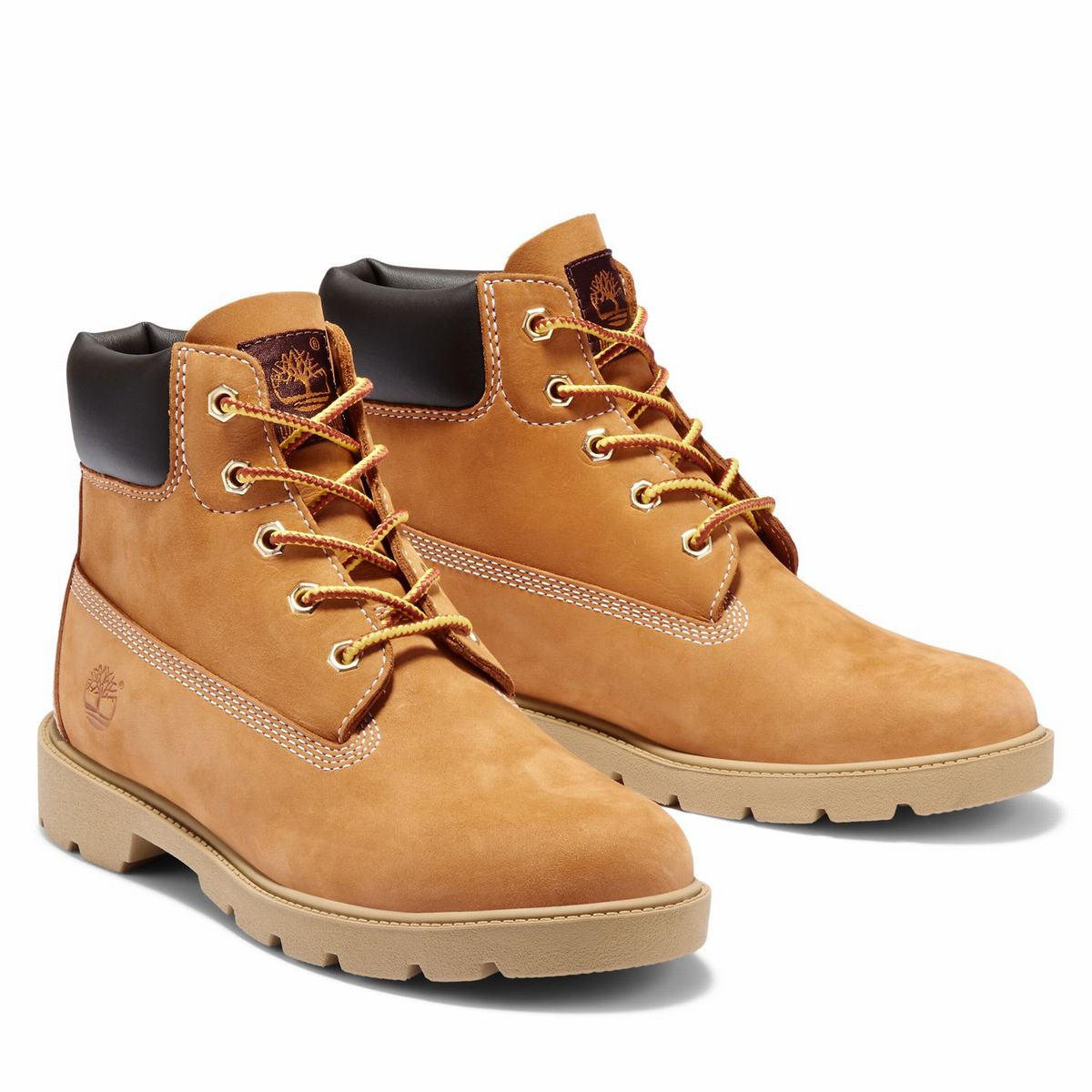 Timberland 6-Inch Vandtætte Boot Vandtætte Støvler Børn Brune | DSZB37596