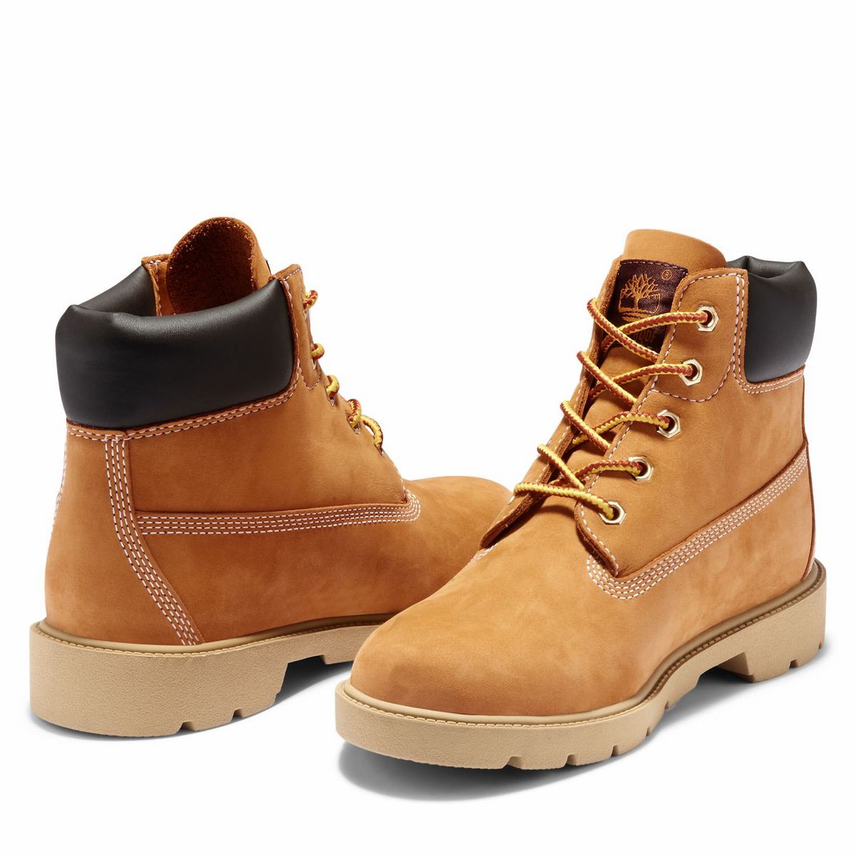 Timberland 6-Inch Vandtætte Boot Vandtætte Støvler Børn Brune | DSZB37596