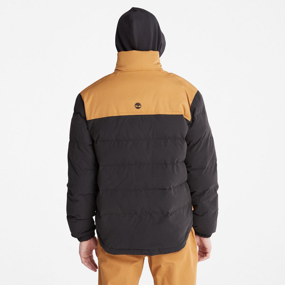 Timberland Overtøj Herre Brune Sort | ERVM02917