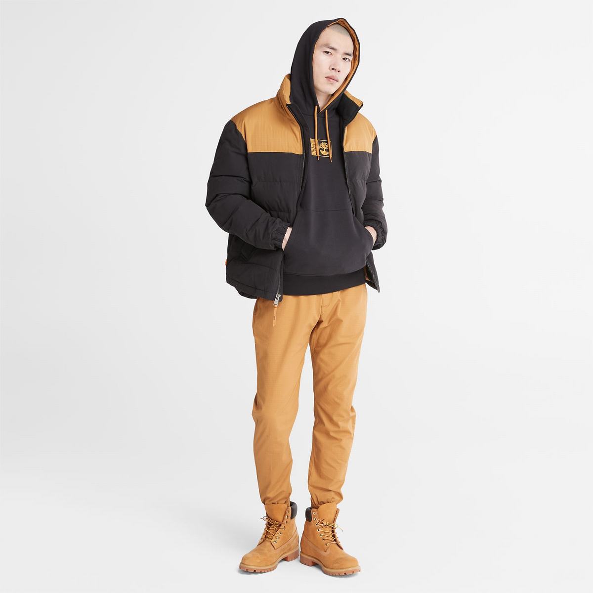 Timberland Overtøj Herre Brune Sort | ERVM02917