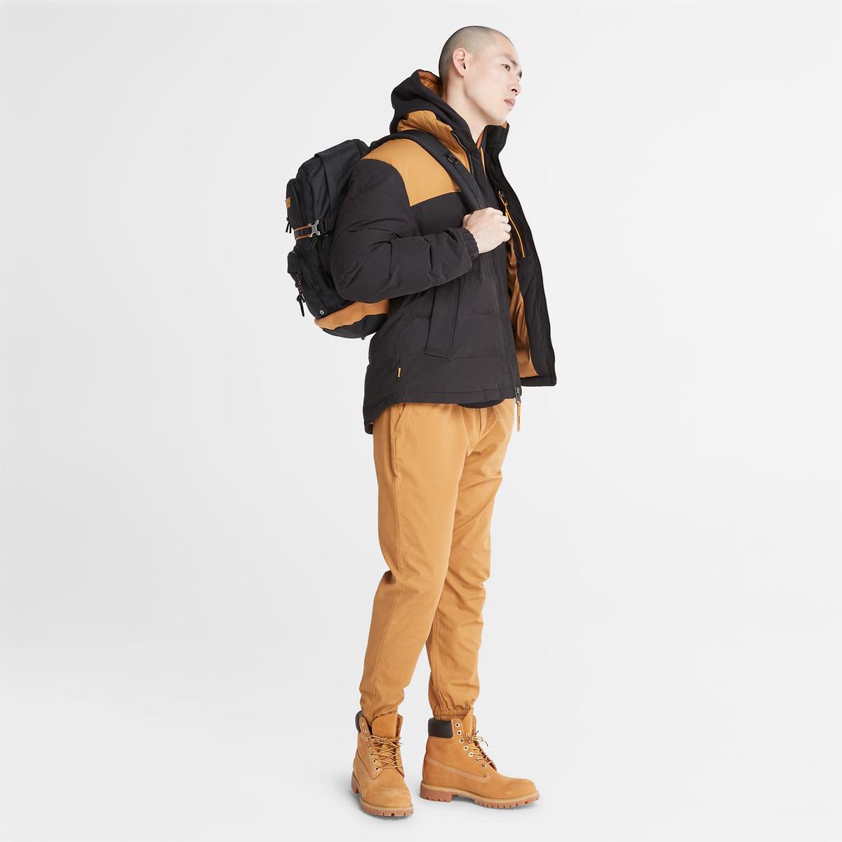 Timberland Overtøj Herre Brune Sort | ERVM02917