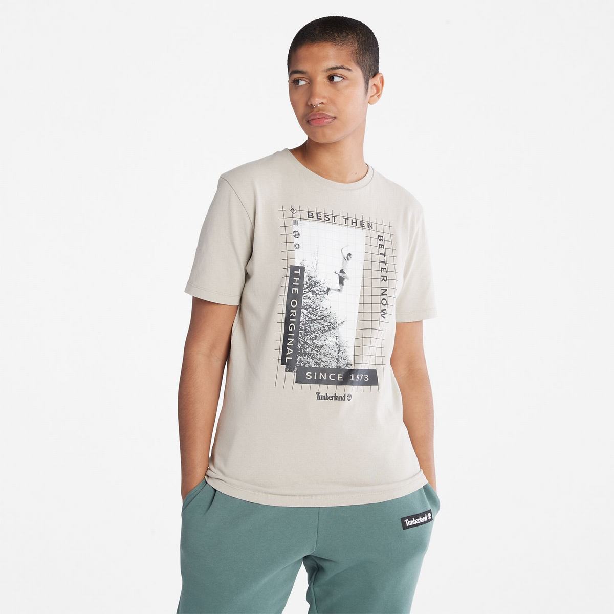 Timberland T Shirts Dame Grå Brune | RLYU69138