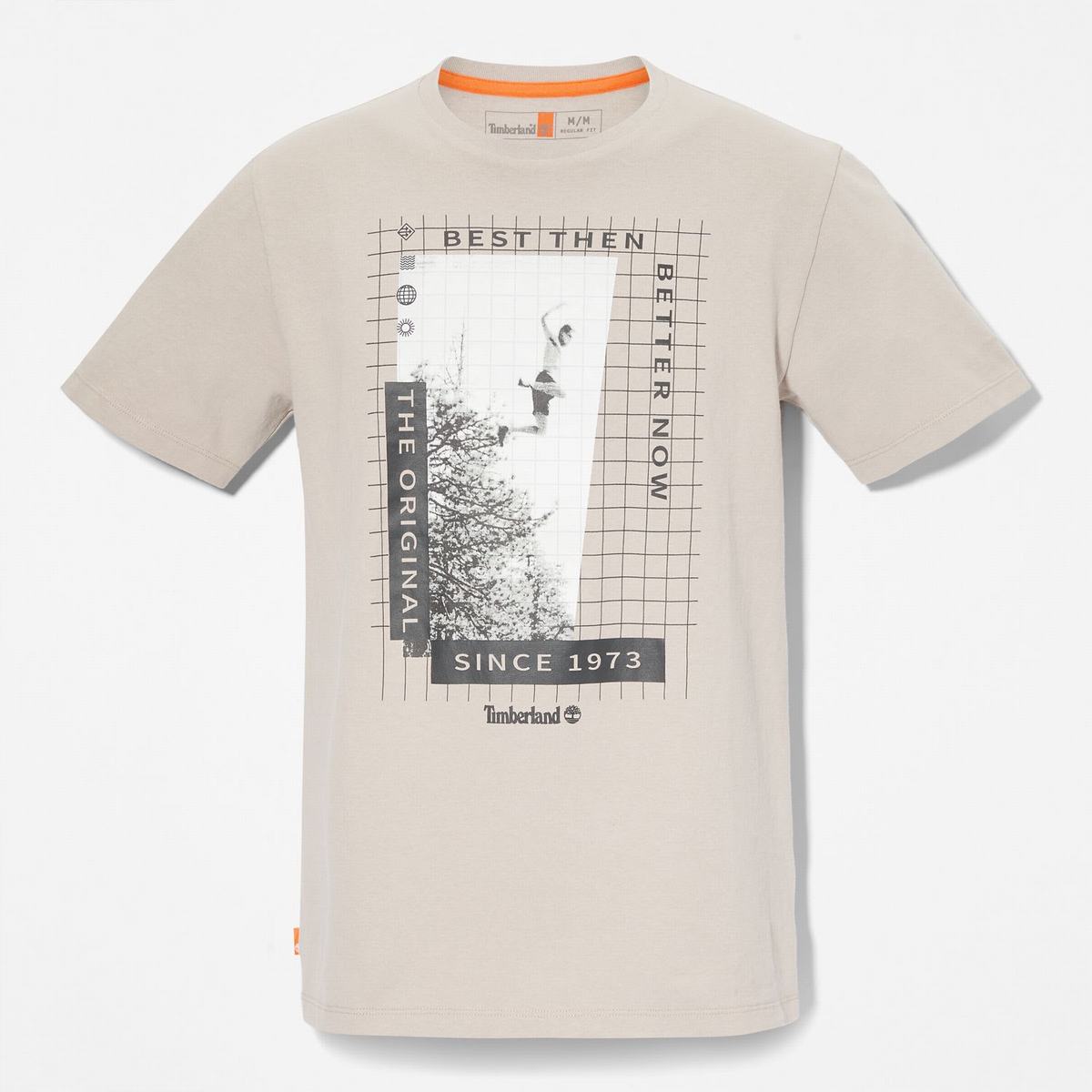 Timberland T Shirts Dame Grå Brune | RLYU69138