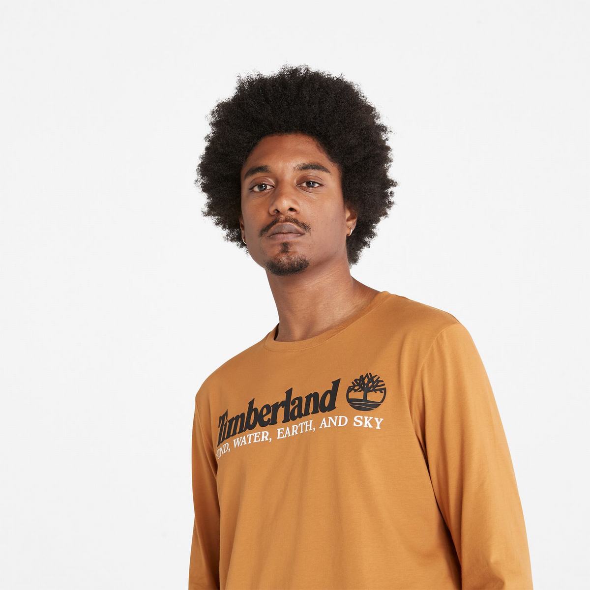 Timberland T Shirts Herre Brune | GAMI95768