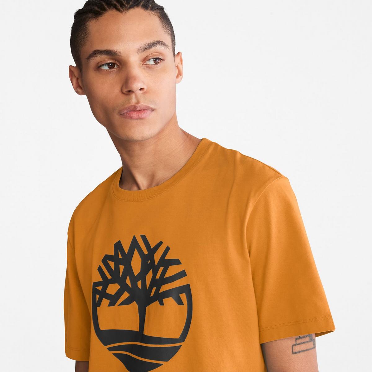 Timberland T Shirts Herre Brune | IYXZ01598