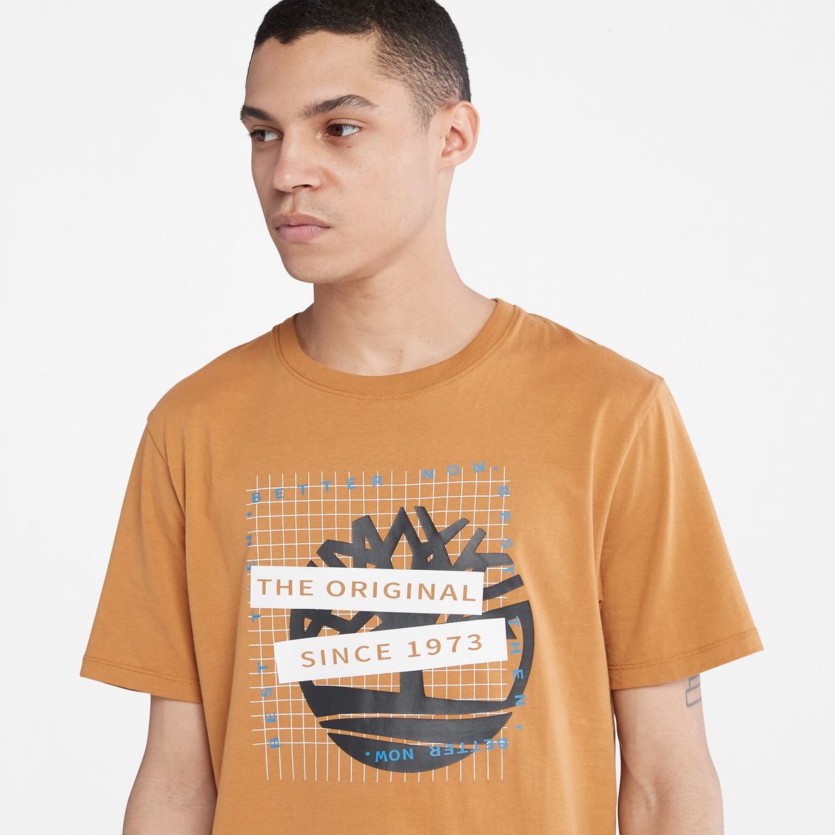 Timberland T Shirts Herre Brune | UETW50946