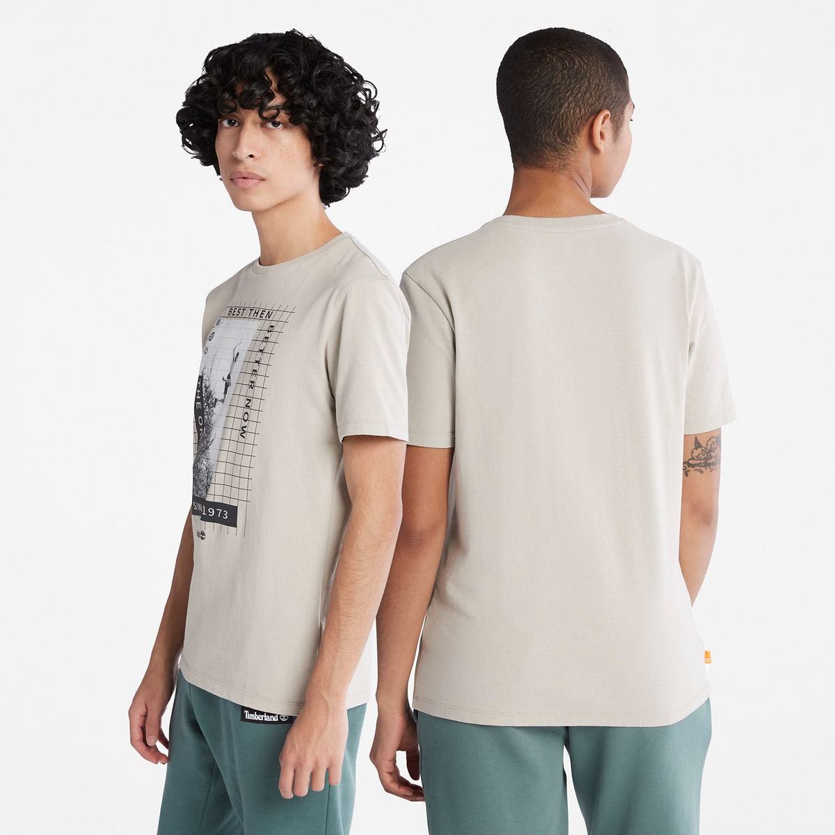 Timberland T Shirts Herre Grå Brune | QPIM63591