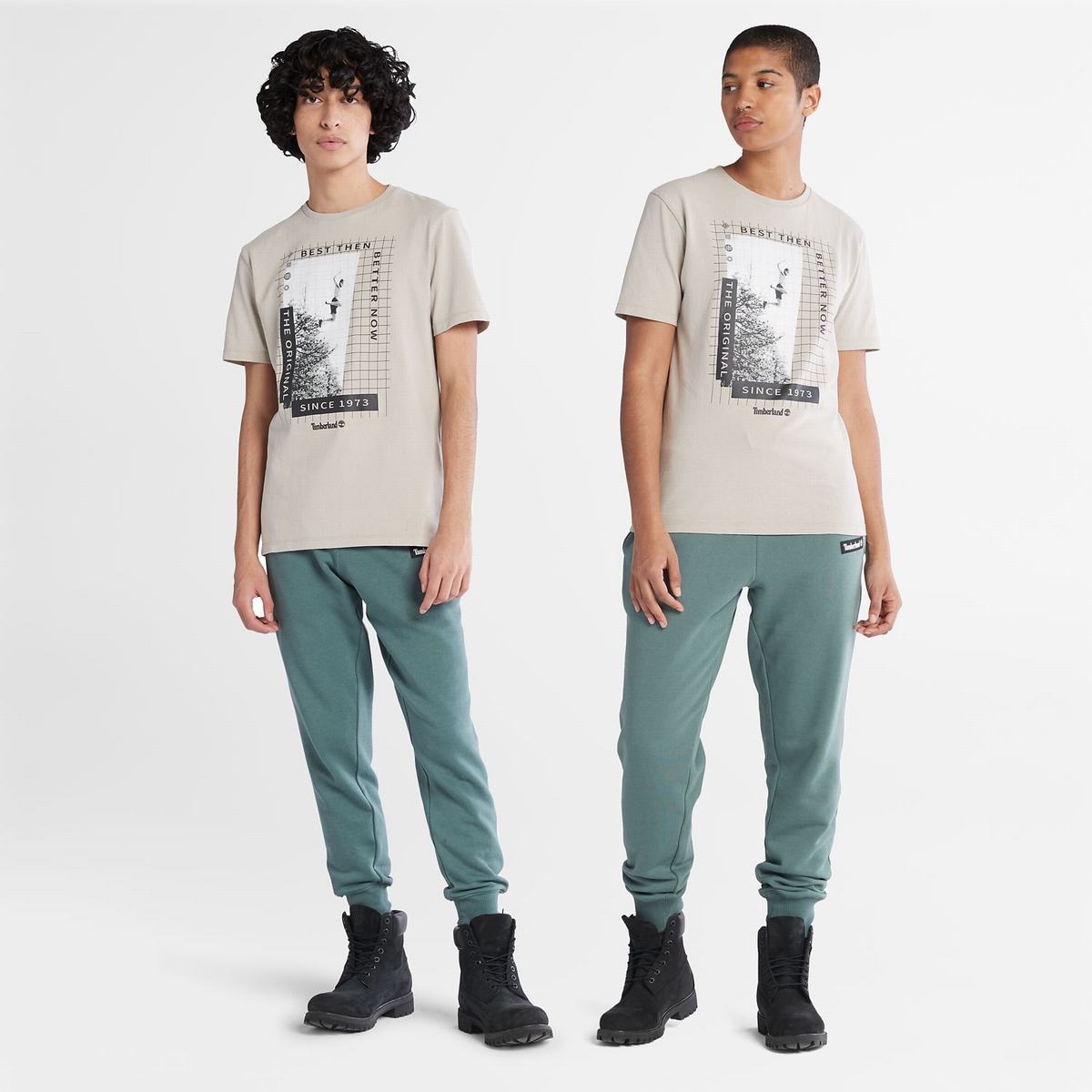 Timberland T Shirts Herre Grå Brune | QPIM63591