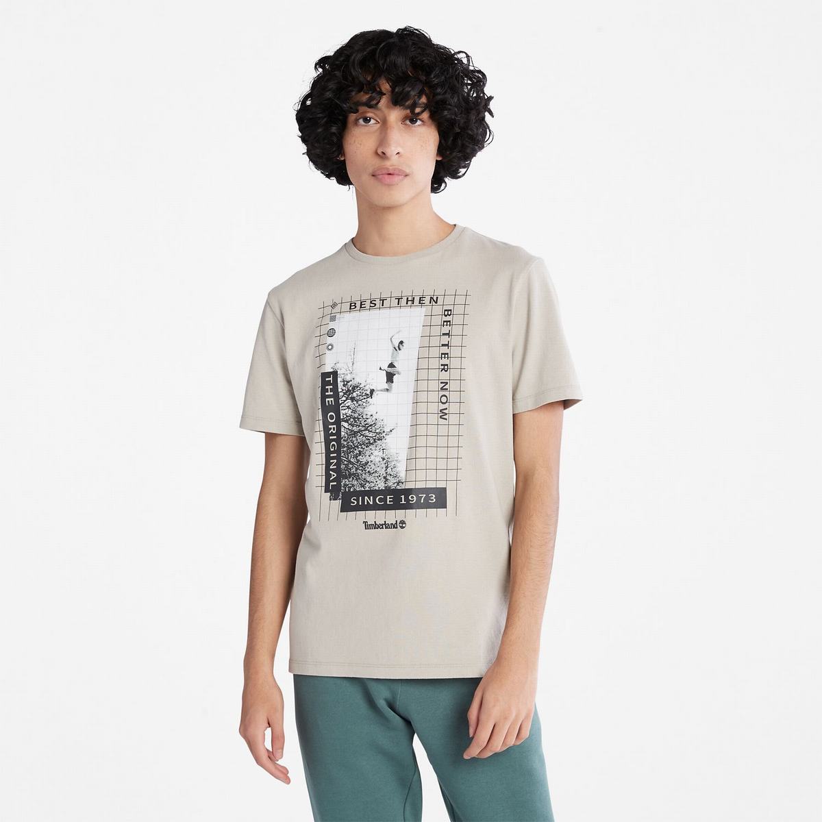 Timberland T Shirts Herre Grå Brune | QPIM63591