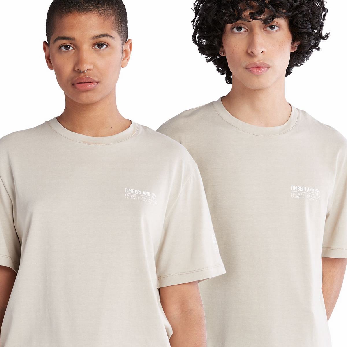 Timberland T Shirts Herre Grå Brune | UOCN30845