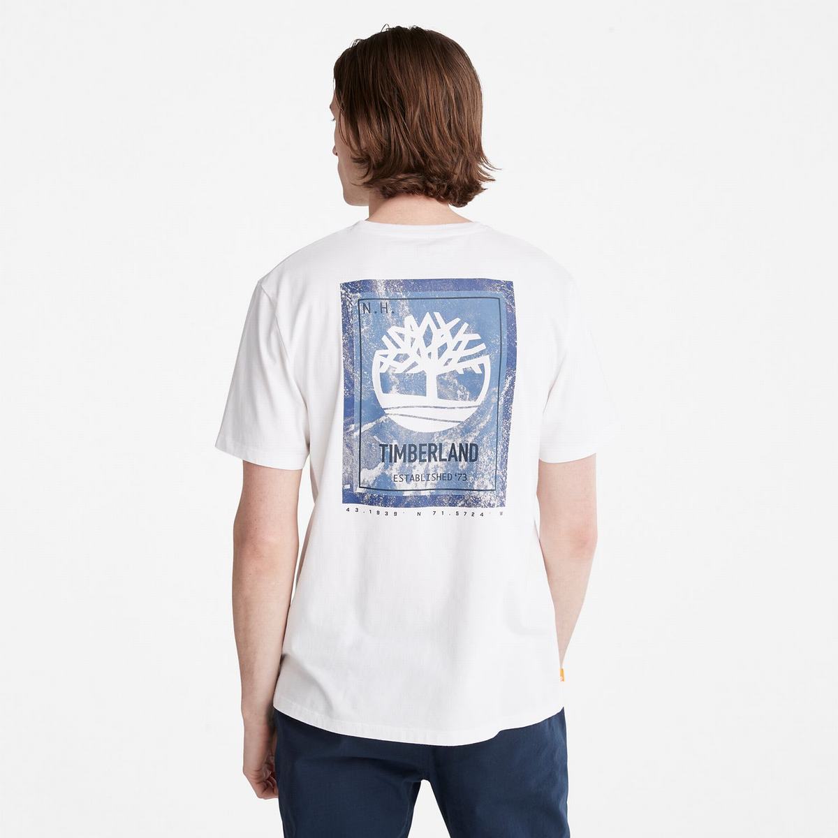 Timberland T Shirts Herre Hvide | KYAH47609