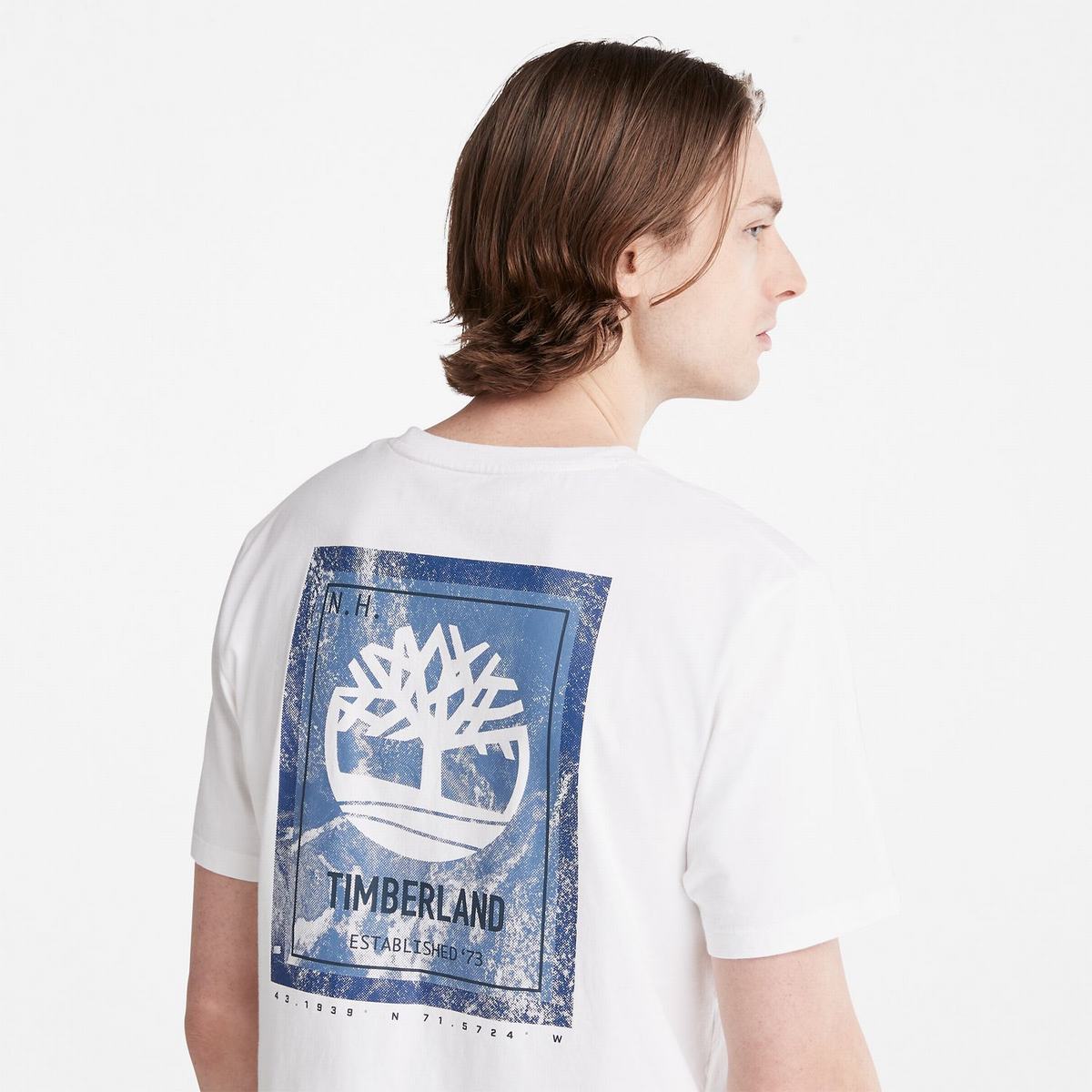 Timberland T Shirts Herre Hvide | KYAH47609