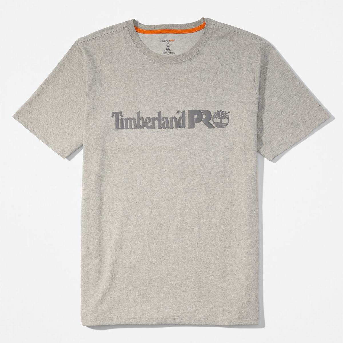 Timberland T Shirts Herre Lysegrå | GQER60873