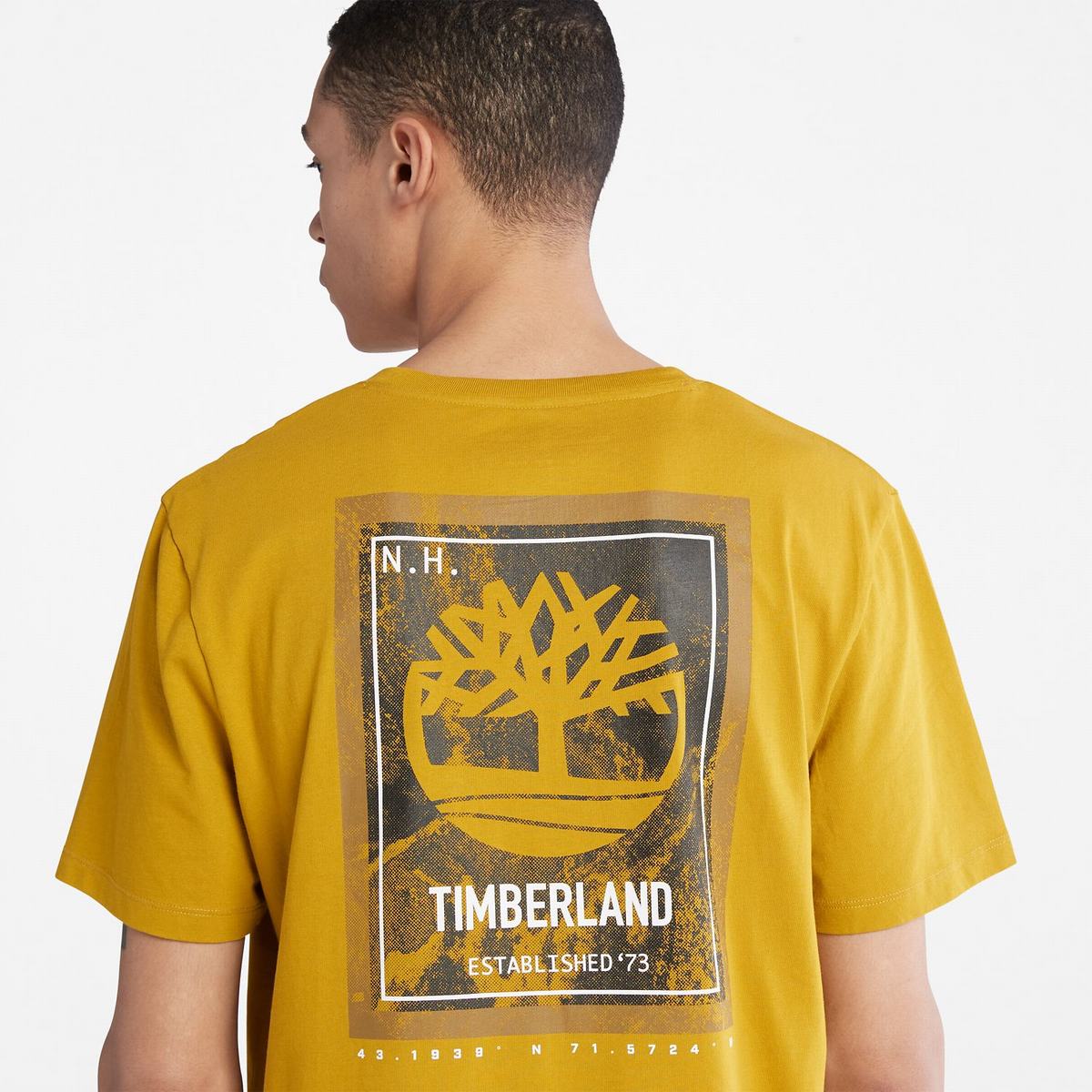 Timberland T Shirts Herre Sennep | LVAQ52681