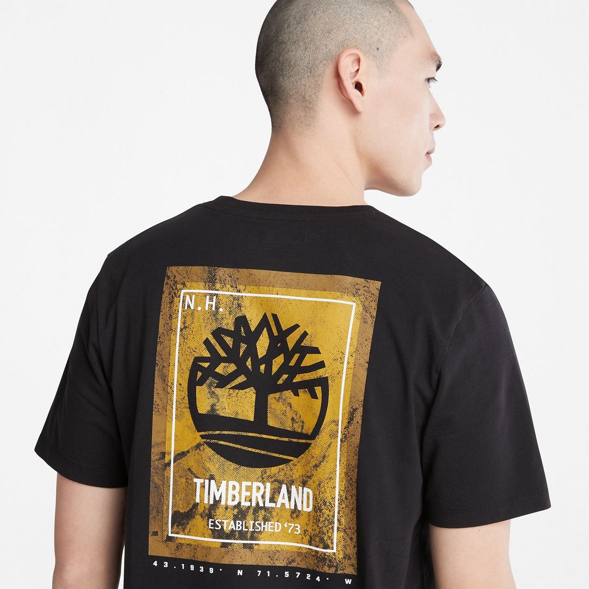 Timberland T Shirts Herre Sort | GROU20856