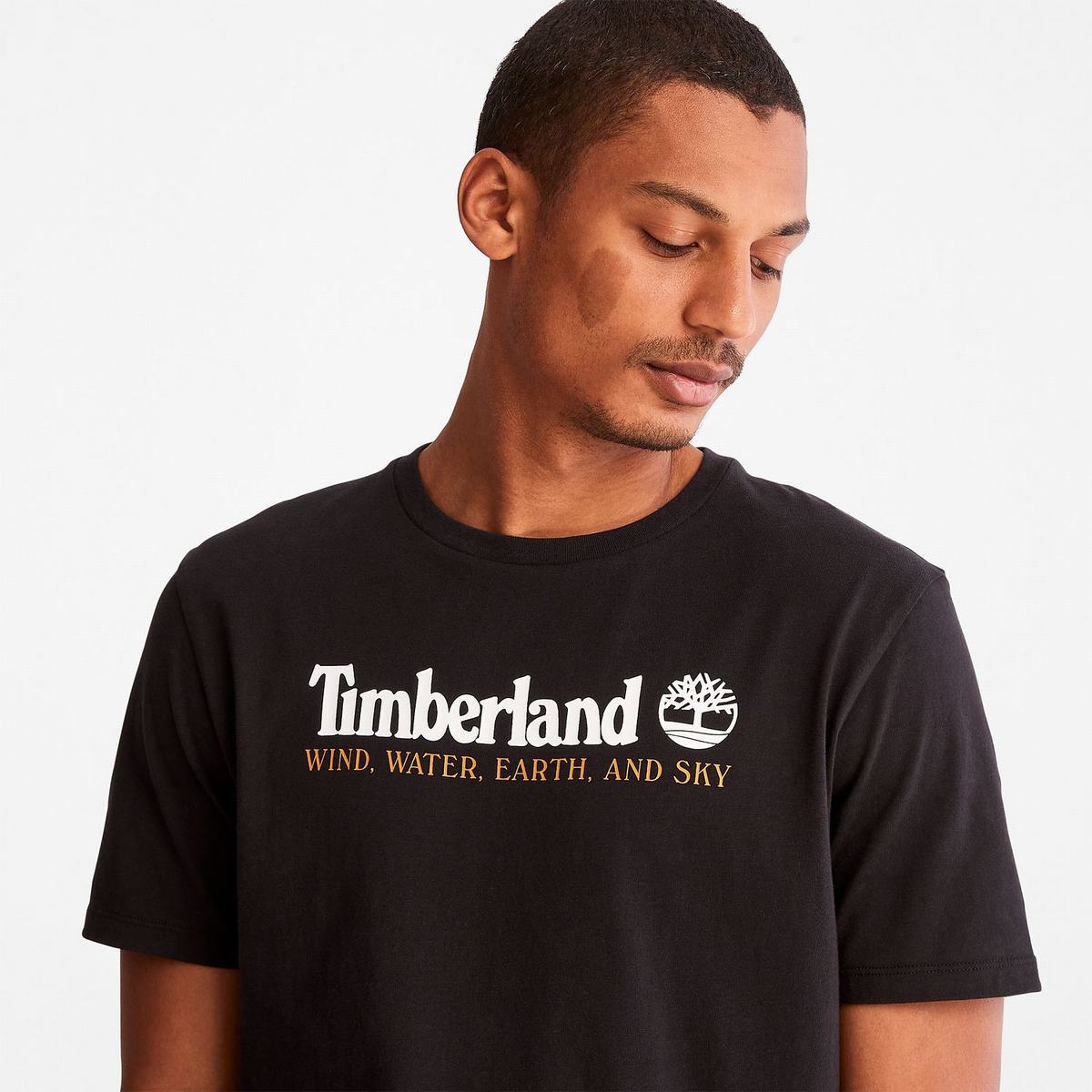 Timberland T Shirts Herre Sort | YCPE52817