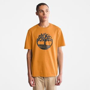 Timberland T Shirts Herre Brune | IYXZ01598